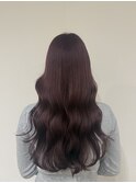 ピンクラベンダー