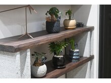 サロン ド ノット(salon de knot)の雰囲気(Interior)