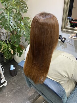 アヤメ(ayame) カシスレッド【東久留米】5