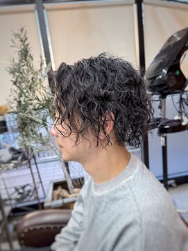 ロルド シェリ(Rold Cheri) 【山本智文】ツイストスパイラルパーマツーブロック