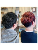 テラス(Terrace) ダブルカラー