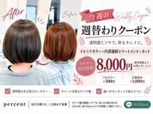 パーセント(percent)