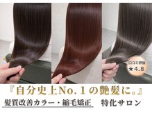 ホロ(holo-)