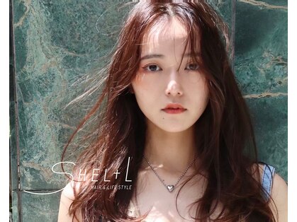 シェル(SHEL+L)の写真
