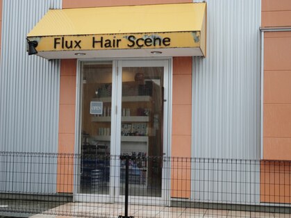 フラックスヘアーシーン(FluxHairScene)の写真