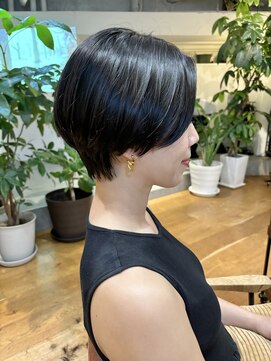 ノル(Knoll) 黒髪/大人ボブ/クールショート/アッシュカラー[銀座/東銀座]