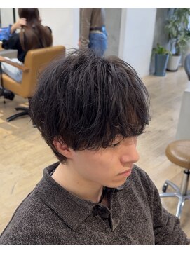 シルク バイ ルカ(SilQ by Luca) シースルーフェザーショート