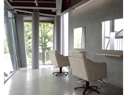 シンカ(shinka)の写真