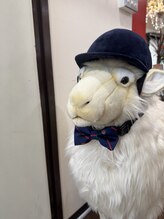 ソメル 阿佐ヶ谷店(SOMERU) KING OF チャールズ