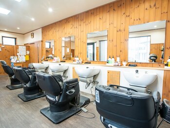 beauty salon the earth