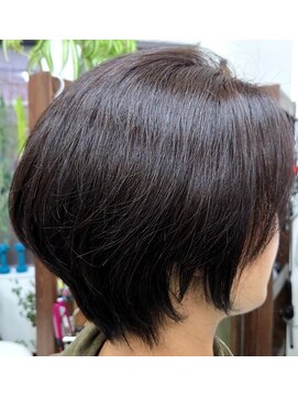 アニス フォーヘアーテーラーメイド(ANIS for hair taylor made) スタイルアップナチュラルショート