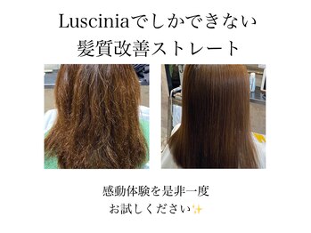 Luscinia 【ルスキニア】