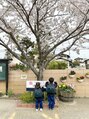 アクエルド(acuerdo) ４歳と３歳の怪獣にふりまわされてます！笑
