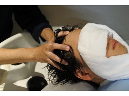 アクトブルー(ActBlue)の写真