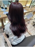 ＊ラベンダー＊【堺・堺東】