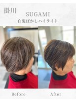 スガミ(SUGAMI)&nbsp;白髪ぼかしハイライト/脱白髪染め