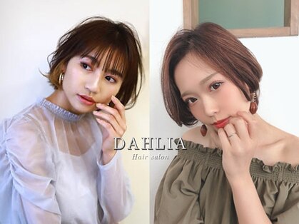 ダリア(Dahlia)の写真