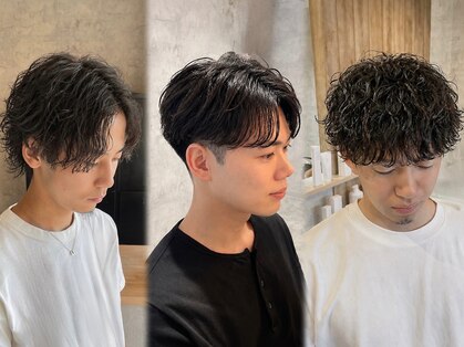 フィル(fil.)の写真
