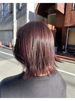 フース(Hus)&nbsp;ワインレッド