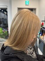 ドッグスター(dog star)&nbsp;ミルクティーベージュ[登戸/向ヶ丘遊園]