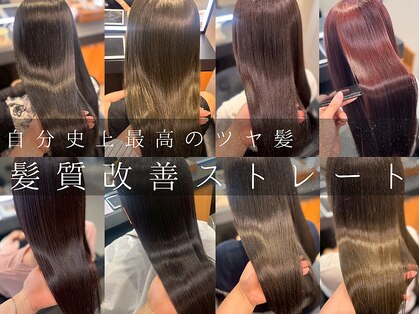 エミュ 伏見 国際センター(emu)の写真