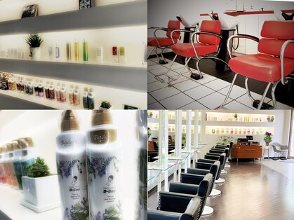 ディーボーイリタ 光の森(D-BOY Lita)の写真