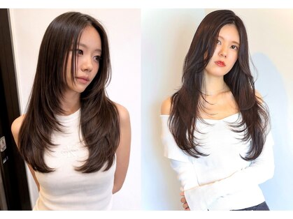 アテナ(ATENA)の写真