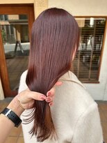 リゴッツ ドゥア プトゥリ(Regottz dua putri) 艶感ボルドー暗めカラー