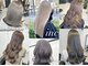 インク(inc)の写真