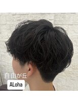 アロハ(ALoha)&nbsp;メンズ　シャドウパーマ