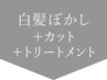 ↓↓ここから白髪ぼかしトリートメント↓↓【押さないでください】