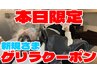 【本日限定15%オフ】○頭皮診断あり○【頭皮調整施術】施術時間40分