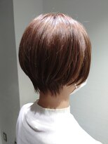 ゼルニイガタ(ZELE NIIGATA) グラデーションベースのショート