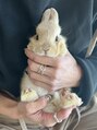 リコ(RICO) うさぎを飼っています！ペットのお話しもしたいです(^^)
