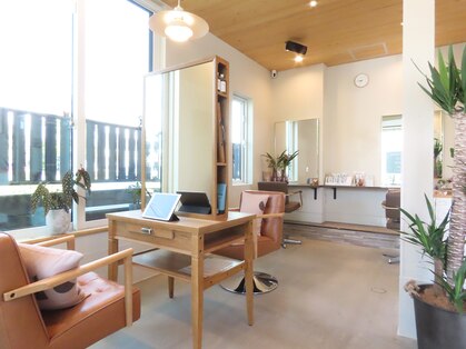 フェリアキツネ(FELIA KITSUNE)の写真