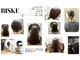 ビスケ(BiSKe)の写真