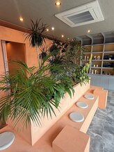 《植物に囲まれたサロンタイム》観葉植物が導く髪と心のリセット時間【髪質改善/縮毛矯正/トリートメント】