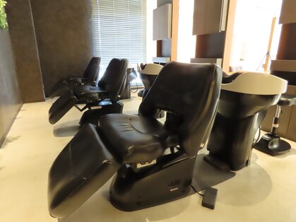 エミュ(emu)の写真