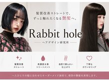 ラビットホール(Rabbit hole)