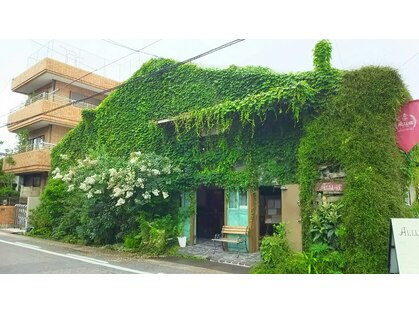 アルーア ヘア サロン(ALLURE HAIR SALON)の写真