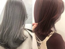 ピクシーボブ(Pixie Bob)