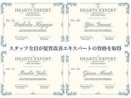 シアー(sheer)の写真
