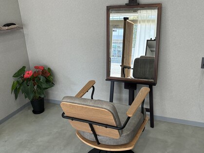 オーパス(Opus)の写真