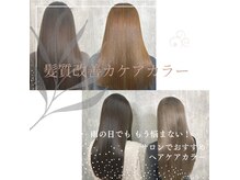 ディーボーイリタ 光の森(D-BOY Lita)