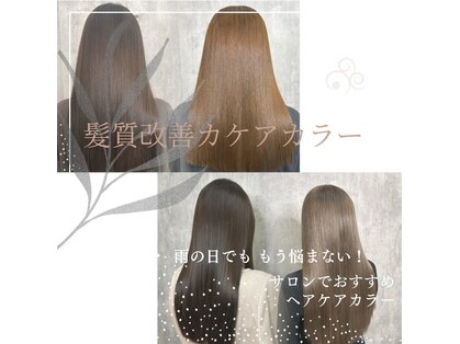 ディーボーイリタ 光の森(D-BOY Lita)の写真