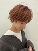 マニッシュショート/アプリコットブラウン