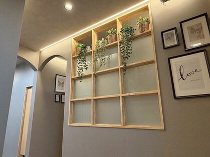 オクタ(Octa)の写真