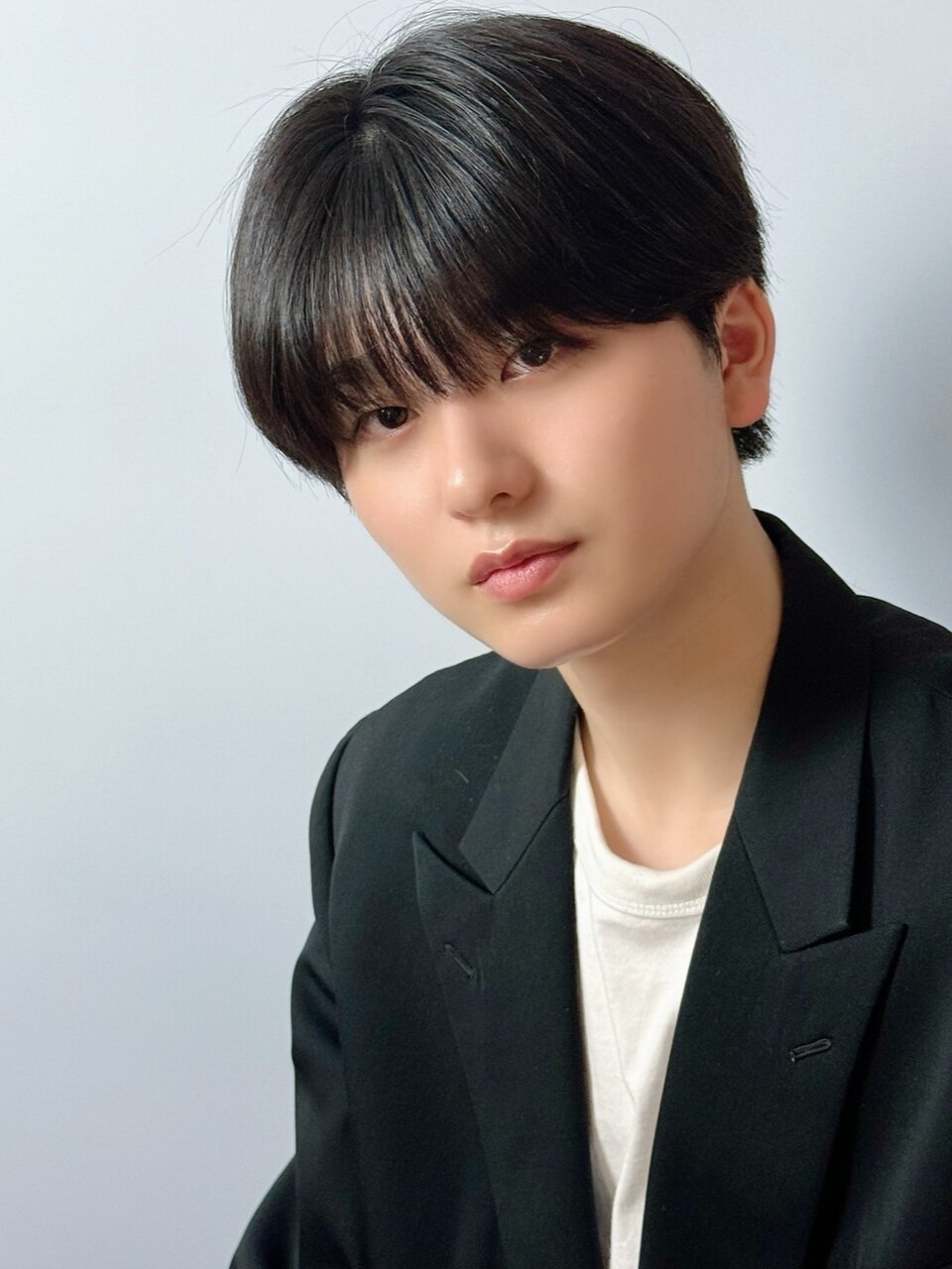 マッシュ様　コメット マッシュウルフ mash wolf ハイトーンカラーとの相性抜群です DM
