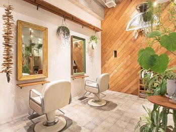 Lattan 松戸東口店 【ラタン】 