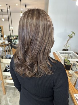 アンボス(Ambos) 【Ambos】ナチュラルハイライトカラー